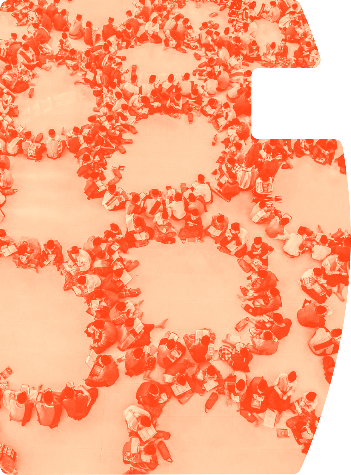 Alternatives en pratique